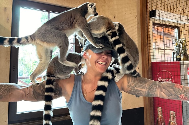 «Rakšu» brīvdabas ZOO tagad piedāvā lemurus un ķengurus 358528