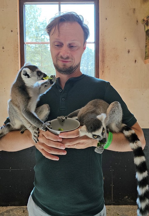 «Rakšu» brīvdabas ZOO tagad piedāvā lemurus un ķengurus 358536