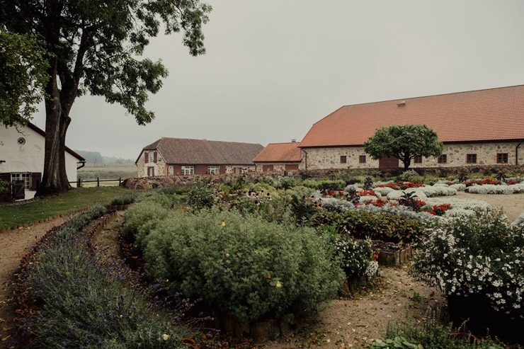 Nurmuižas ražas svētki ir unikāls pasākums tālākajā Ziemeļeiropas vīnogu audzētavā. Foto: Kaspars Filips Dobrovolskis 360101