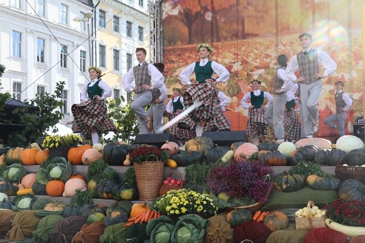 Rīgas Doma laukumā rīdzinieki un viesi iepazīst Miķeldienas tirgus latviešu amatnieku darinājumus 360423