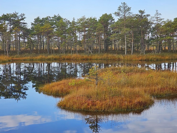 Rīta pārgājiens ar purva kurpēm pa Lielo Ķemeru tīreli. Sadarbībā ar VisitJurmala.lv  Rīta pārgājiens ar purva kurpēm pa Lielo Ķemeru tīreli. Sadarbībā ar VisitJurmala.lv 378891
