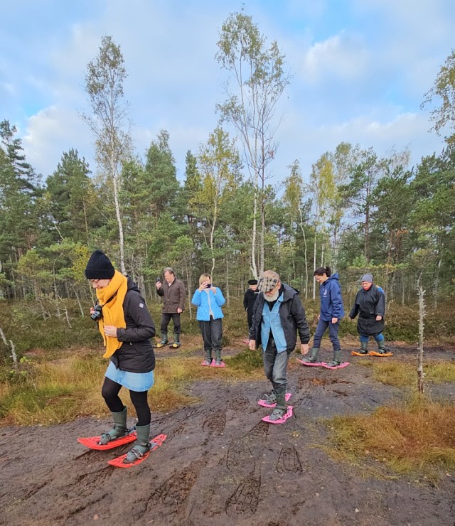 Rīta pārgājiens ar purva kurpēm pa Lielo Ķemeru tīreli. Sadarbībā ar VisitJurmala.lv  Rīta pārgājiens ar purva kurpēm pa Lielo Ķemeru tīreli. Sadarbībā ar VisitJurmala.lv 378896