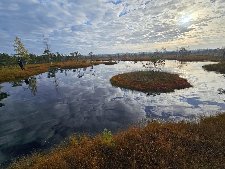 Rīta pārgājiens ar purva kurpēm pa Lielo Ķemeru tīreli. Sadarbībā ar VisitJurmala.lv  Rīta pārgājiens ar purva kurpēm pa Lielo Ķemeru tīreli. Sadarbībā ar VisitJurmala.lv 378911