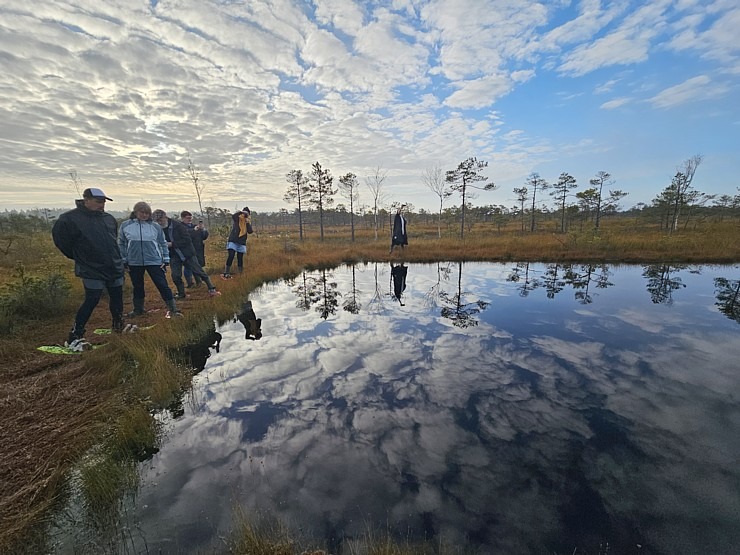 Rīta pārgājiens ar purva kurpēm pa Lielo Ķemeru tīreli. Sadarbībā ar VisitJurmala.lv  Rīta pārgājiens ar purva kurpēm pa Lielo Ķemeru tīreli. Sadarbībā ar VisitJurmala.lv 378913