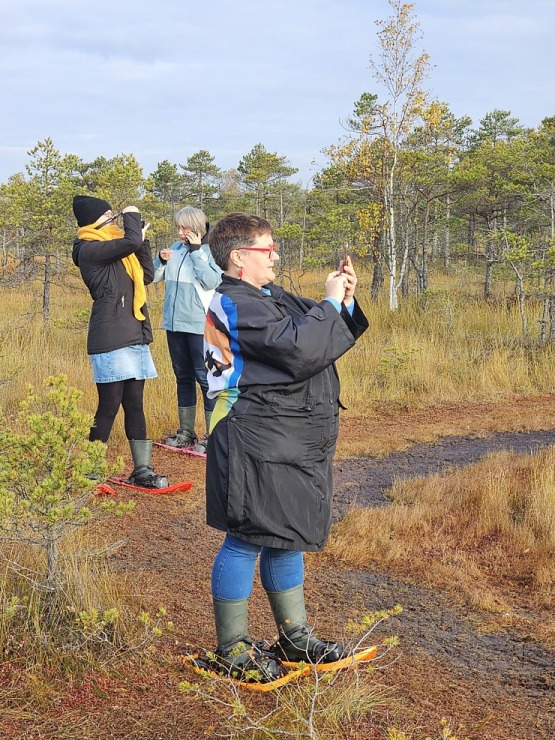 Rīta pārgājiens ar purva kurpēm pa Lielo Ķemeru tīreli. Sadarbībā ar VisitJurmala.lv  Rīta pārgājiens ar purva kurpēm pa Lielo Ķemeru tīreli. Sadarbībā ar VisitJurmala.lv 378918