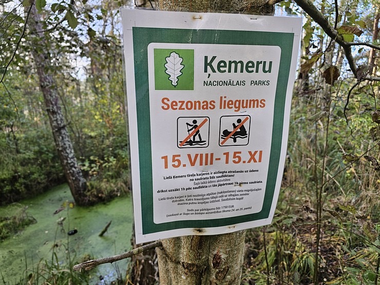 Rīta pārgājiens ar purva kurpēm pa Lielo Ķemeru tīreli. Sadarbībā ar VisitJurmala.lv  Rīta pārgājiens ar purva kurpēm pa Lielo Ķemeru tīreli. Sadarbībā ar VisitJurmala.lv 378921