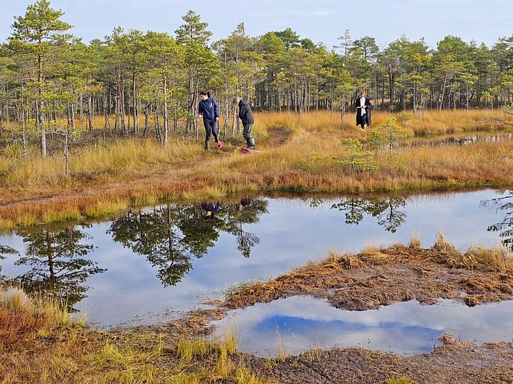 Rīta pārgājiens ar purva kurpēm pa Lielo Ķemeru tīreli. Sadarbībā ar VisitJurmala.lv  Rīta pārgājiens ar purva kurpēm pa Lielo Ķemeru tīreli. Sadarbībā ar VisitJurmala.lv 378887