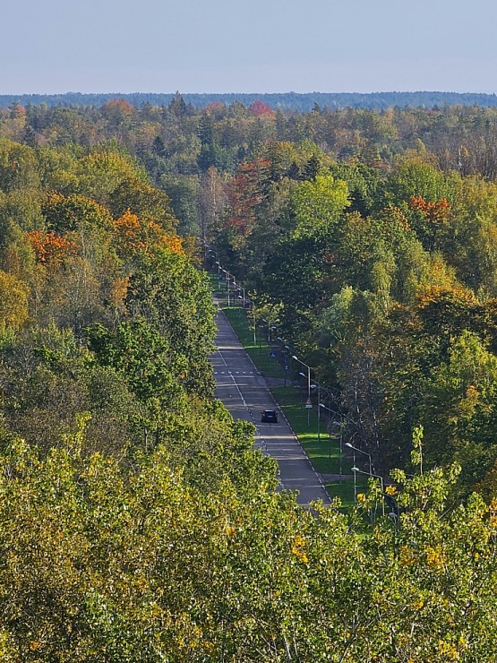 Apmeklējam Ķemeru kūrorta parku un ūdenstorni. Sadarbībā ar VisitJurmala.lv  Apmeklējam Ķemeru kūrorta parku un ūdenstorni. Sadarbībā ar VisitJurmala.lv 378973