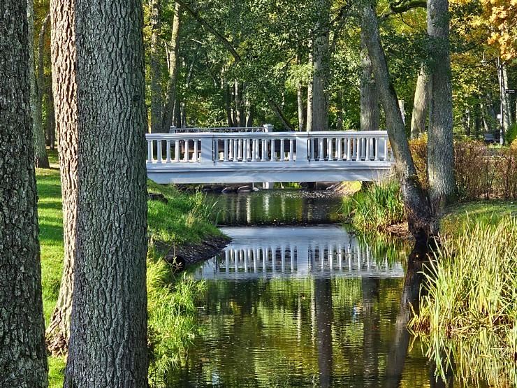 Apmeklējam Ķemeru kūrorta parku un ūdenstorni. Sadarbībā ar VisitJurmala.lv  Apmeklējam Ķemeru kūrorta parku un ūdenstorni. Sadarbībā ar VisitJurmala.lv 378945