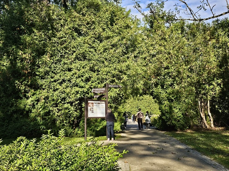 Apmeklējam Ķemeru kūrorta parku un ūdenstorni. Sadarbībā ar VisitJurmala.lv  Apmeklējam Ķemeru kūrorta parku un ūdenstorni. Sadarbībā ar VisitJurmala.lv 378947