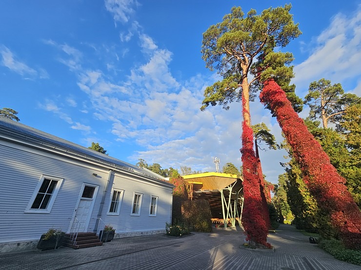 Leģendārās Dzintaru koncertzāles apskate ar iespēju ielūkoties mākslinieku grimētavās. Sadarbībā ar VisitJurmala.lv  Leģendārās Dzintaru koncertzāles apskate ar iespēju ielūkoties mākslinieku grimētavās. Sadarbībā ar VisitJurmala.lv 379343