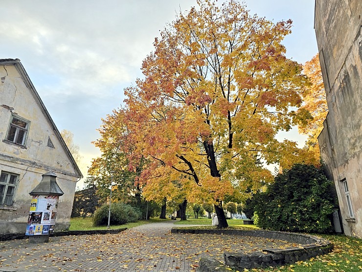 Pēcpusdienas pastaigā iepazīstam UNESCO Pasaules mantojuma sarakstā iekļauto Kuldīgu  Pēcpusdienas pastaigā iepazīstam UNESCO Pasaules mantojuma sarakstā iekļauto Kuldīgu 380496