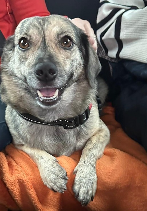 Rīgas Restorānu nedēļas akcijā piedalās arī Mārupes ģimenes restorāns «Hercogs» ar īpašu piedāvājumu  Rīgas Restorānu nedēļas akcijā piedalās arī Mārupes ģimenes restorāns «Hercogs» ar īpašu piedāvājumu 380760