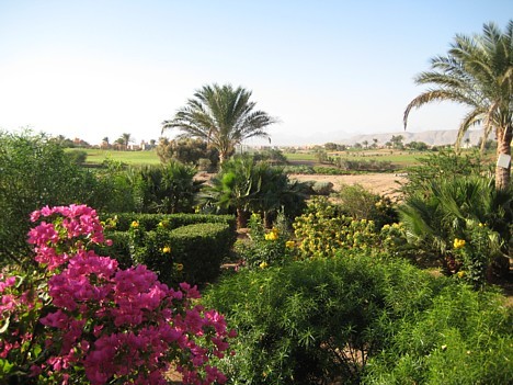 Šis kūrorts Ēģiptē skaitās pats ekoloģiski tīrākais un videi draudzīgākais 19403