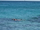 Snorkelējot un nirstot paveras fantastiska ūdens un koraļļu valstība 17