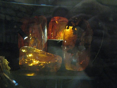 Muzejā eksponātus iespējams apskatīt arī caur palielināmo stiklu 26513
