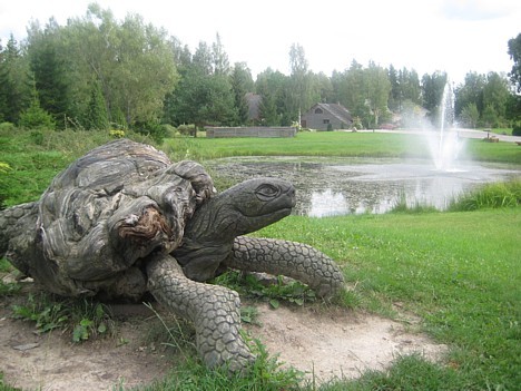 Laumu dabas parka apmeklētājus sagaida koka bruņurupucis 26767