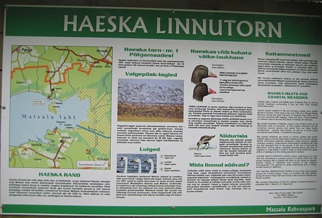 Matsalu nacionālais parks Igaunijā tika izveidots 1957.gadā ar mērķi aizsargāt ligzdojošos putnus un pārlidojošos putnus, kā arī apdraudētās sugas 26825