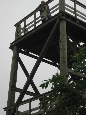 Skatu tornis ir iecienīts īpaši putnu pārlidošanas laikā, proti, pavasarī un rudenī 26830