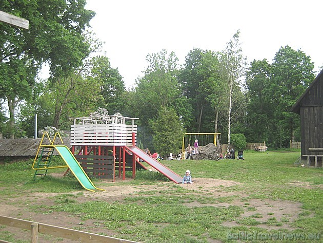 Polli zooloģiskais dārzs ir ļoti iecienīta vieta pikniku vai bērnu pasākumu rīkošanai 35166