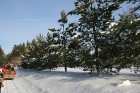 Parks ir mājoklis 838 koku un augu sugām, no kurām 26 ir ļoti retas, 100 dažādām sūnu sugām, 150 sēņu sugām, vairāk nekā 50 zīdītāju sugām, ieskaitot  6