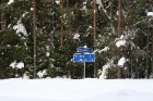 Norādes mežā neļaus Jums apmaldīties 8