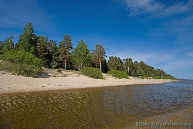 Peipusa ezers atrodas uz Igaunijas un Krievijas robežas. Tas ir ceturtais lielākais Eiropas ezers 42542