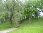 Botāniskā dārza teritorijā ir plaša zaļā zona, kā arī tuvumā atrodas Piritas Kuģniecības un atpūtas centrs, priežu mežs, Metsakalmistu kapsēta, Tallin 18