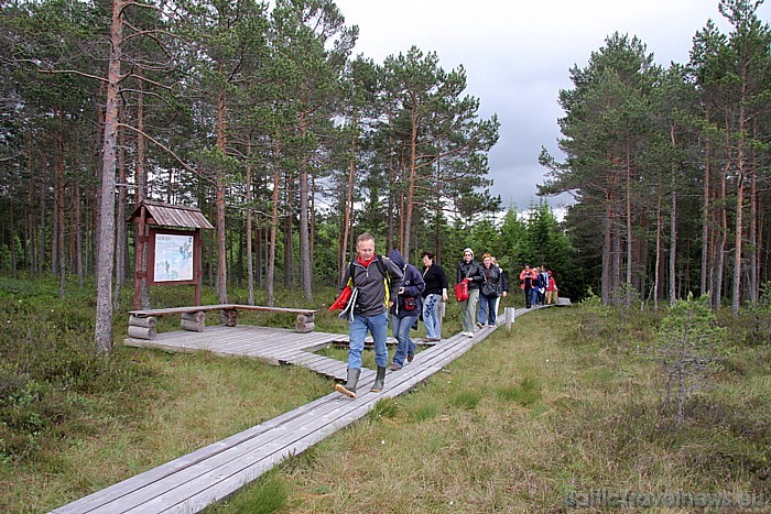 Somā (Soomaa) nacionālais parks ar Ingatsi taku atrodas Igaunijā, Viljandi apgabalā, Sandra ciemata tuvumā 47686