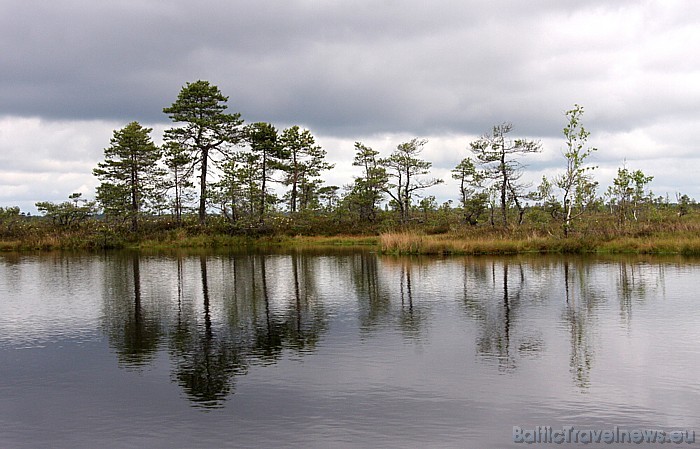 Somā Nacionālais parks ir konkursa Igaunijas neatklātie dārgumi 2009 uzvarētājs, tas ir saņēmis Eiropas neskarto teritoriju PAN Parks statusu 47700