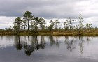 Somā Nacionālais parks ir konkursa Igaunijas neatklātie dārgumi 2009 uzvarētājs, tas ir saņēmis Eiropas neskarto teritoriju PAN Parks statusu 15