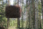 Viesnīca Treehotel domāta tiem, kas vēlas piepildīt bērnības sapni un padzīvot kokā. Tiesa, viesnīcā pieejami ļoti komfortabli numuri
Foto: © Treehot 3