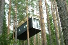 Viesnīcas Treehotel numuri lielākoties sastāv no koka (tikai viena numura apdarē izmantots stikls) un tie izvietoti priedes kokos
Foto: © Treehotel 8