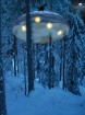 Viens no viesnīcas numuriem ir UFO - nezināms lidojošs objekts kokos. Tajā ir ir viena divvietīga gulta un divas gultas bērniem
Foto: © Treehotel 9