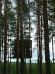 Nakšņošana viesnīcā maksā no 370-450 eiro par nakti. Cena atkarīga no izvēlētā numura. Viesnīcas Treehotel adrese: Edeforsväg 2A, S-960 24 Harads
Fot 11