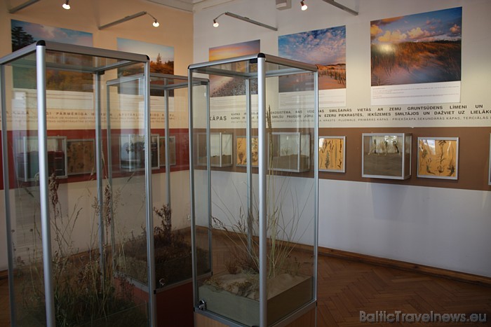 Latvijas Dabas muzejs ir dabas bagātību krātuve, kur glabājas ģeoloģiskie, entomoloģiskie, paleontoloģiskie, zooloģiskie, botāniskie un antropoloģiski 51545