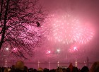 Gaismu puķu sveiciens viesiem valsts svētkos 16
