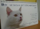 Sveicienus svētkos saņēmām arī no biznesa augstkolas Turība 2
