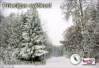 Priecīgus svētkus vēl iAuto 8