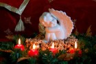 Apsveikums no Latvijas Viesnīcu un restorānu asociācijas 92