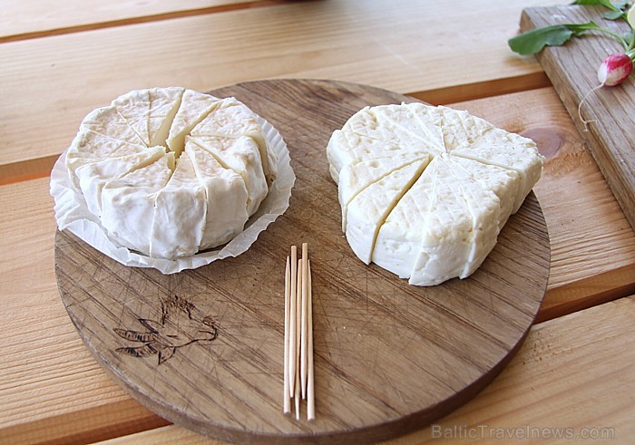 Siernieku nams ir fermentu – pelējuma – biezpiena sieri, kas izgatavoti no aitas, kazas un govs piena 61782