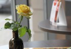 Bar Duck apvieno jaunu, mūsdienīgs stilu, izmeklētu virtuvi, plašu dzērienu un ēdienu klāstu 11