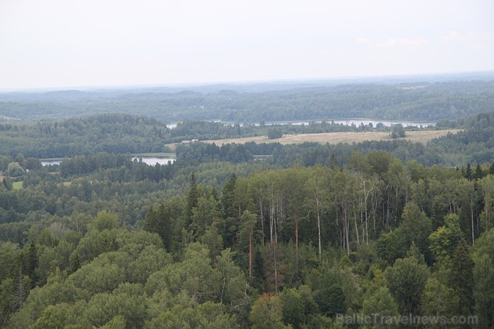 Lielais Liepukalns Latgalē, kas ir trešā augstākā virsotne Latvijā, var lepoties ar Latvijas augstāko skatu torni (34 metri) un skatu uz Rāznas ezeru 66292