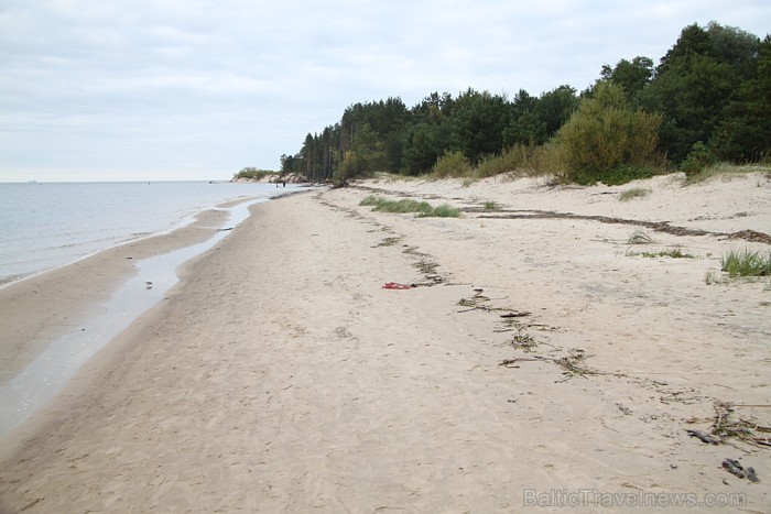 Vecbuļļu dabas liegums ir vieta klusai atpūtai Rīgā - Lielupes ieteka Rīgas jūras līcī 67569