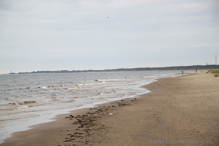 Piejūras dabas parks - Rīgas jūrmalas pludmale 67576