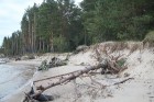 Vecbuļļu dabas liegums ir vieta klusai atpūtai Rīgā - Lielupes krastu abrāzija 6