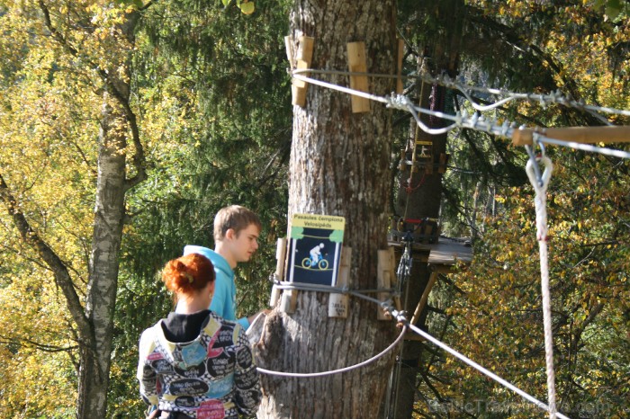 Kad Siguldā nokrāsojas pirmās koku lapas, gan vietējie, gan ārzemju ceļotāji trauc apbrīnot Zelta Rudeni. www.sigulda.lv 67605