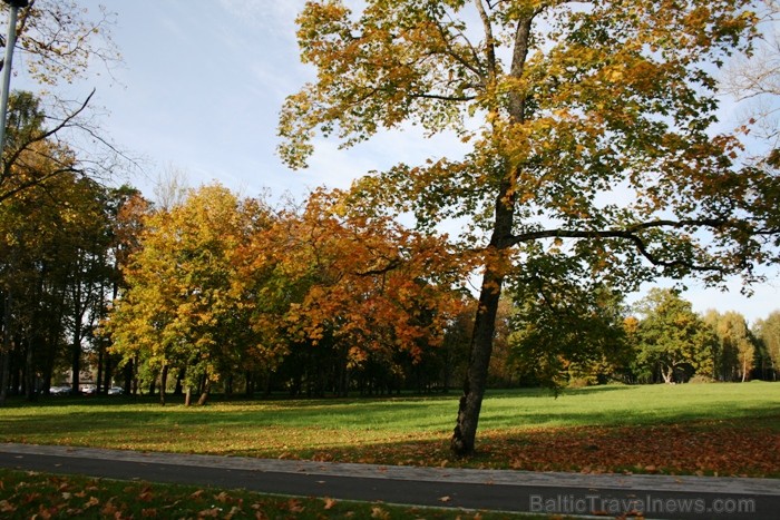Kad Siguldā nokrāsojas pirmās koku lapas, gan vietējie, gan ārzemju ceļotāji trauc apbrīnot Zelta Rudeni. www.sigulda.lv 67620
