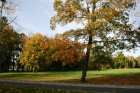 Kad Siguldā nokrāsojas pirmās koku lapas, gan vietējie, gan ārzemju ceļotāji trauc apbrīnot Zelta Rudeni. www.sigulda.lv 28