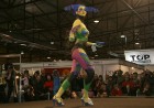 «Body art 2011» konkurss Ķīpsalā 7